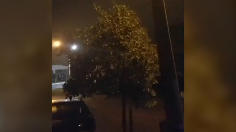 Ruidos raros, teoras disparatadas y videos falsos